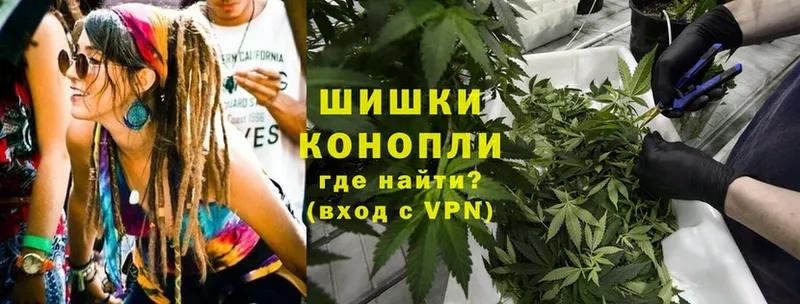 Бошки Шишки OG Kush  Кимры 